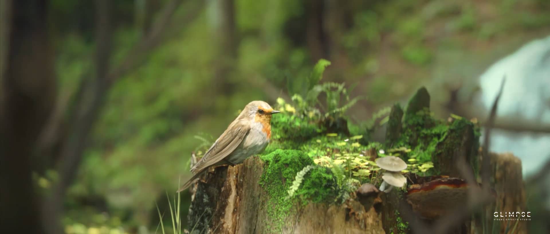 Free download Leroy Merlin - Robin`s Breakdown video and edit with RedcoolMedia movie maker MovieStudio video editor online and AudioStudio audio editor onlin